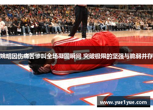 姚明因伤痛苦惨叫全场凝固瞬间 突破极限的坚强与脆弱并存