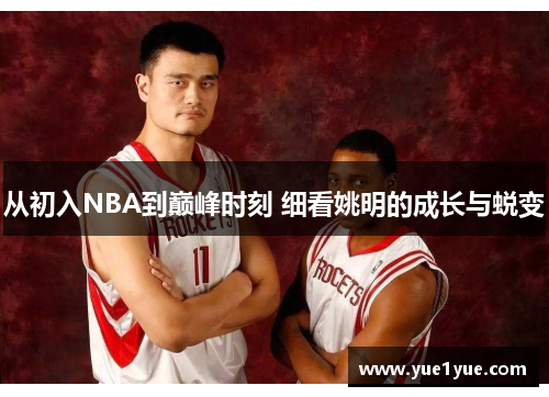 从初入NBA到巅峰时刻 细看姚明的成长与蜕变