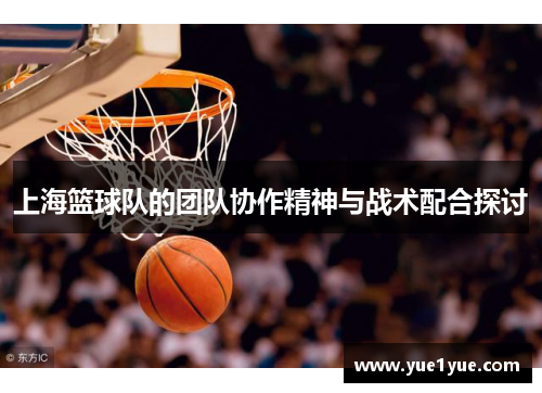 上海篮球队的团队协作精神与战术配合探讨