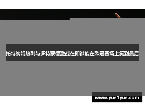 托特纳姆热刺与多特蒙德激战在即谁能在欧冠赛场上笑到最后