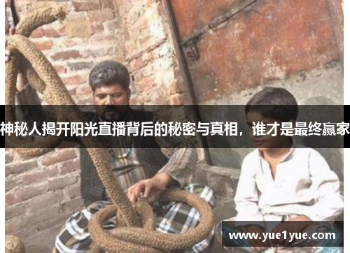 神秘人揭开阳光直播背后的秘密与真相，谁才是最终赢家