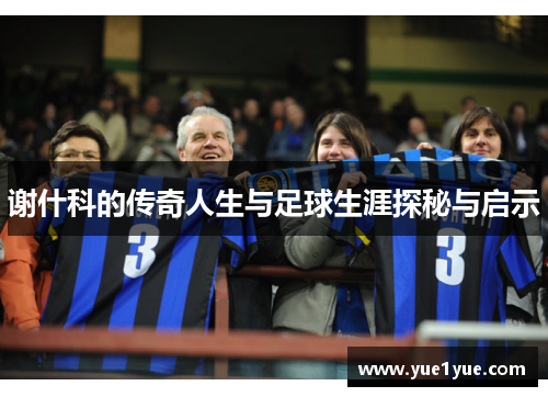 谢什科的传奇人生与足球生涯探秘与启示